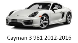 Pornire motor din telefon/pager Porsche Cayman gen 3 981 2012-2016 alarma Pandora